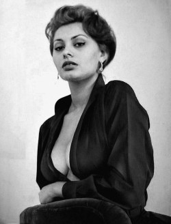 gatabella:  Sophia Loren 