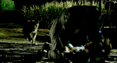 westwingwolf:Favorite Films: Secondhand Lions (2003)Sometimes the things that may or may not be true