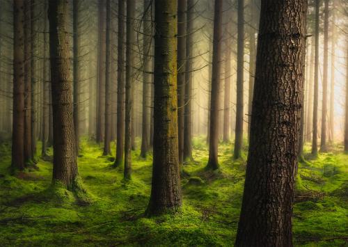 amazinglybeautifulphotography