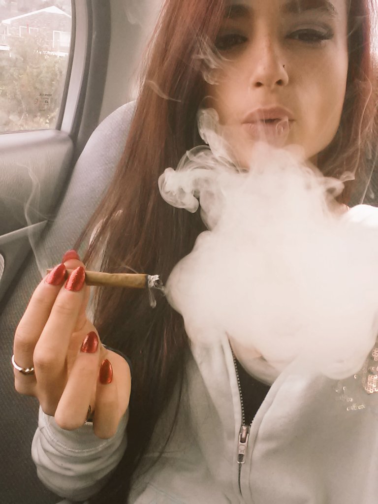 indica-illusions:  burn ridee💨 