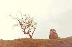 tolallybroch:  Jamie & Claire + space