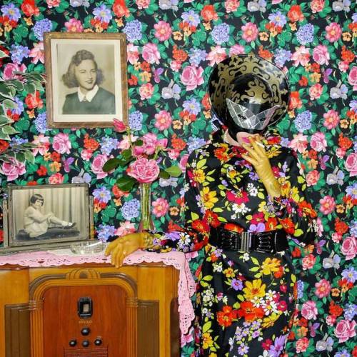 Curator Of things... Art Photos Music Humour