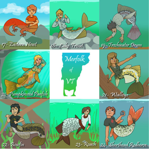 For MerMay This Year I Collected A List Of 31 Fish/mostly Aquatic Animals That Live In Vermont To Create
