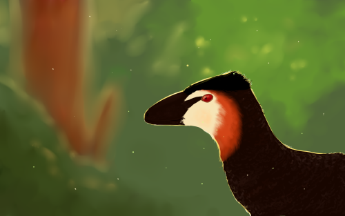 palaeornithology