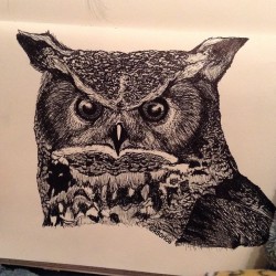 #owl #pen #drawing #art #who #ink #athena