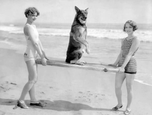 Myrna Loy and Leila Hyams carrying movie dog Rin-Tin-Tin at the beach, 1920s Nudes & Noises  