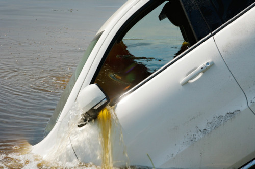 contemporary-art-blog:  Roe Ethridge, Durango in a Canal, Belle Glade, FL, 2011 