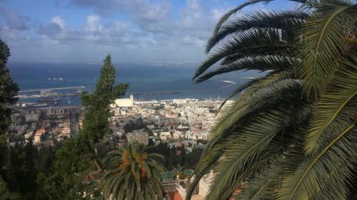 kamanana:Haifa, Palestine