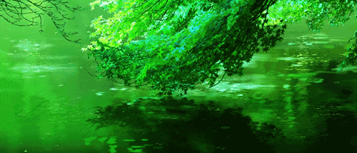 kanamecchi:  Kotonoha no Niwa Scenery 