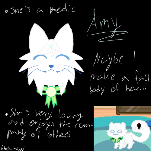 Meet Amy The Medic Cat!
