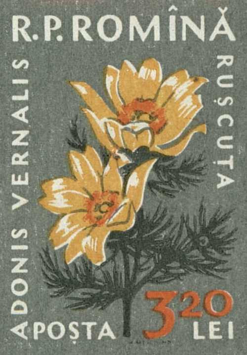 levkerbel: Four stamps from a series on native flora, Romania, 1959