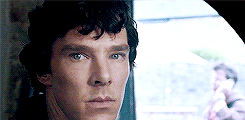 sherlockbbcgifs:  onedirecton requested: Sherlock hair porn? Like when it’s super curly and lovely   laurasykes97
