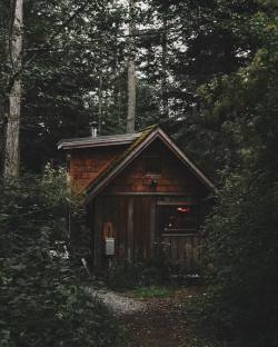 walletsandwhiskey: This was home for the past few days on Orcas Island 🌲 via @lms_photo #cabin