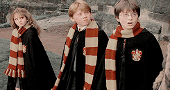 sirenedsea:  It takes a great deal of bravery to stand up to your enemies, but a