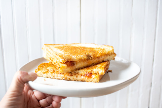 Grilled Cheese with Tomato Jam | frites and fries