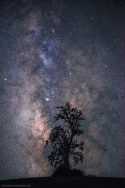 astrodidact:  Milky Way Rises Over , Paso