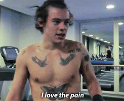 gay4zayn:  1D Day Footage 