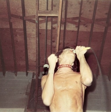 sarcasm-factory: Iggy Pop performing with The Stooges · 1970
