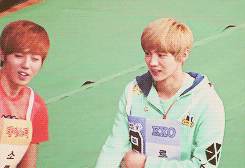 littlecritter35:leuhans:luhan talking to  Soryong from TastySHIP IT!