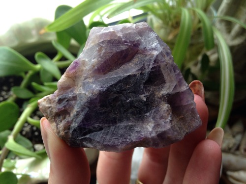 floralwaterwitch:Newest additions to my collection which includes my first piece of black tourmaline