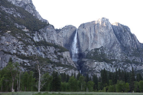 Yosemite 2014
© Wade Schields