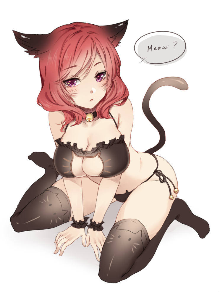 Sexy catgirls and stuff