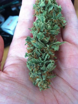 disengagefromreality420:   white romulan