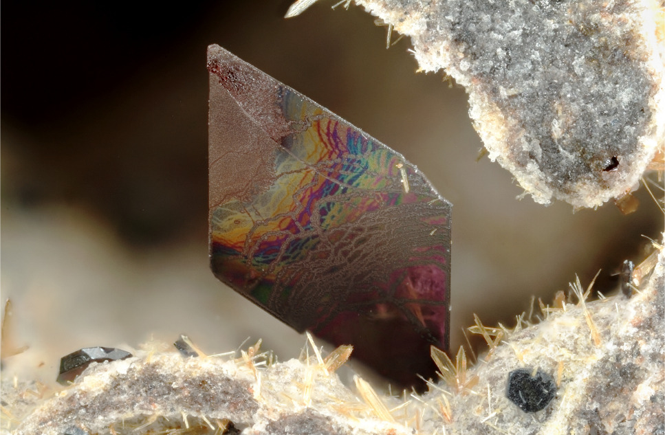 underthescopemineral:  Hematite, Enstatite  Fe2O3MgSiO3Locality:Les Châtelaunoux