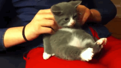 Funny Gif and Lol Gifs