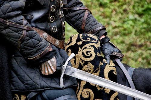ritasv:armor, sword &amp; the horse by ugar can