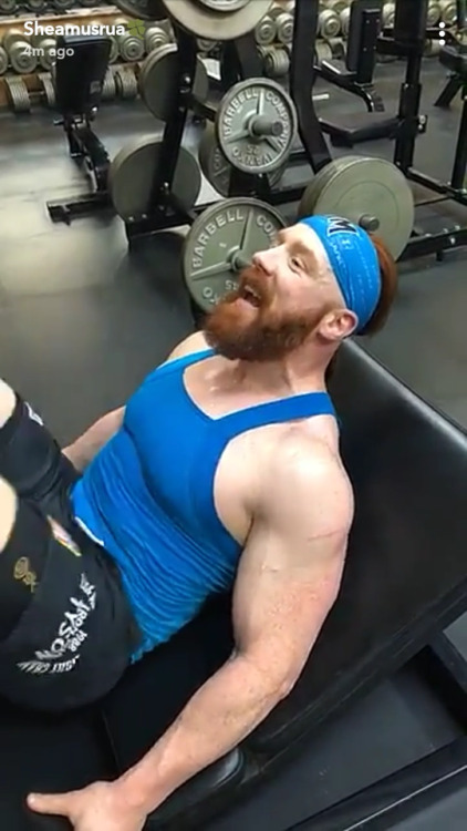 deidrelovessheamus:  Sheamus and Drew McIntyre SnapChat pics from the gym. Part 3 (1-9-2018)