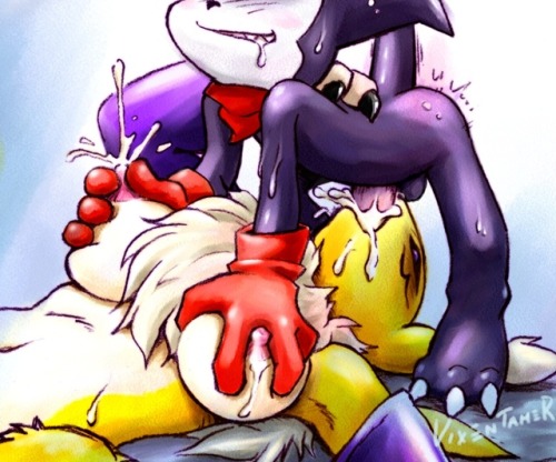 This is one of my old favourites. God bless muma renamon my second furry love <3