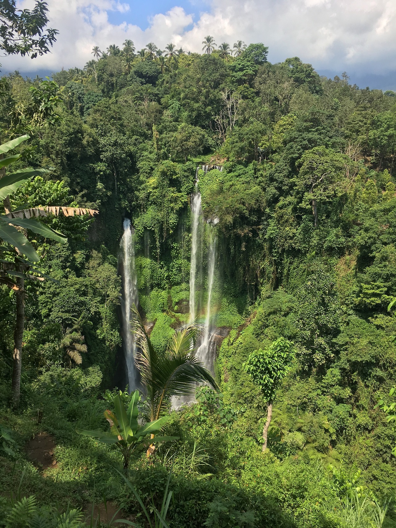 Sekumpul falls in Bali. Left side is a river and right side is a natural spring. [4032 x 3024] via /r/EarthPorn http://ift.tt/2t9v9DE