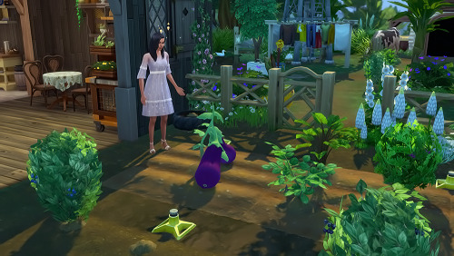 Clover has also been putting her gardening skills to good use.That’s one big Eggplant! Clover is hop