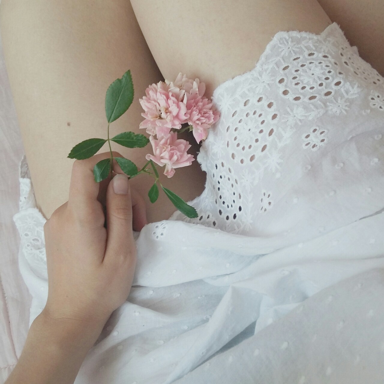 dollfromtheattic:  [03.07.16] - Gathering flowers to press from my garden in a lacy