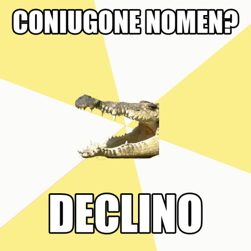 interretialia: Coniugone nomen?Declino Conjugate a noun?I decline (The English version is here.)