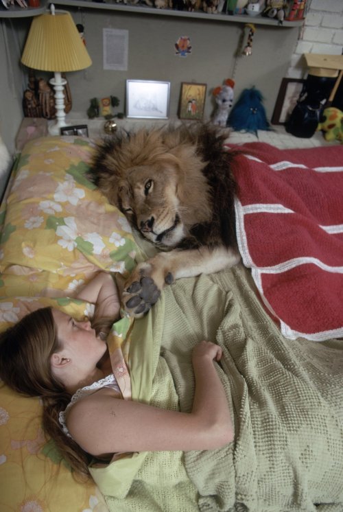 egocollatisviribus:  These photographs show Tippi Hedren — star of Alfred Hitchcock’s The Birds — with her husband, director Noel Marshall, and her daughter, actress Melanie Griffith, and their lion, Neil.  Hedren founded Roar Foundation and Shambala