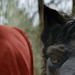 bogleech:batbcomic:mist-the-wannabe-linguist:&ldquo;For the Wolf, we originally