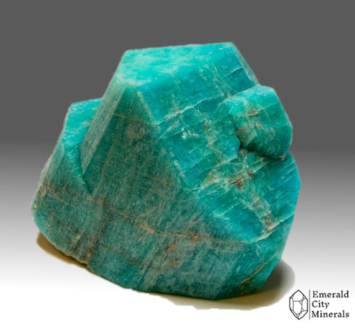 emeraldcityminerals:Blue-green twinned microcline (var amazonite). From Park County, Colorado, USA. 