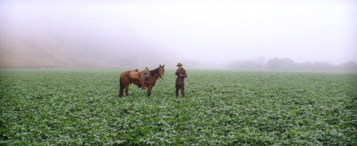 moviesframes: There Will Be Blood (2007) Directed by Paul Thomas Anderson Cinematography by Robert Elswit 