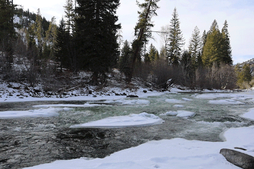 High Country Rush: © gif by riverwindphotography, December 2020