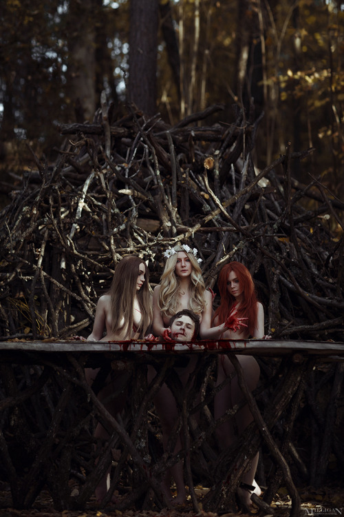 The Witcher - Ladies of the Woodsdesireeskai adult photos