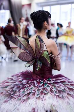 englishballetandtea: geekandsundry:  tutu-fangirl:  everythingplus-thekitchensink:  dancingwithbelugawhales:  Members of the Australian Ballet in (beautifully) costumed rehearsals for David McAllister’s The Sleeping Beauty. Photography by Kate Longley.