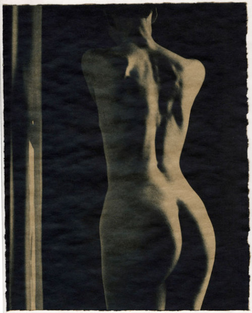 vivipiuomeno1:  Philippe Bréson ph. (1960) Cyanotype sur papier kraft, virage au thé, 2014