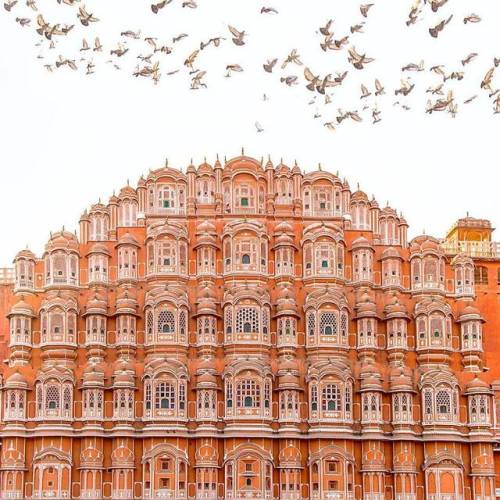 dreamingofgoingthere:Jaipur, India 