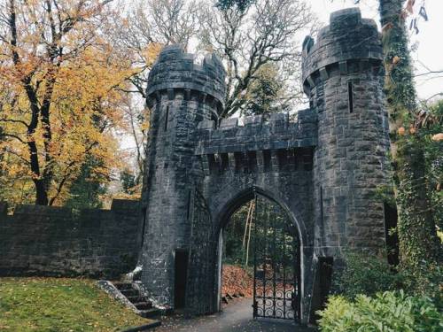 One final photo from Ashford Castle, because why not? ...#ashfordcastle #ireland #westofireland #cas