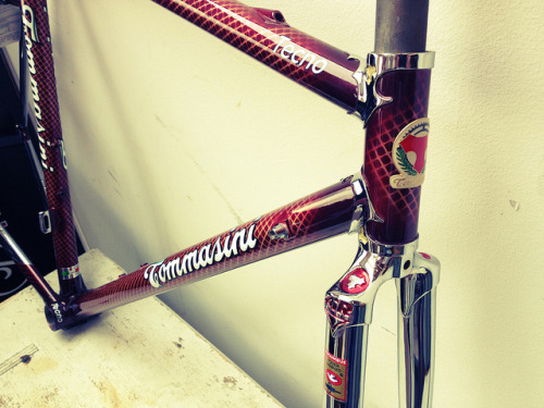 candypaintjob: Tommasini Tecno by Tommasini_USA on Flickr.