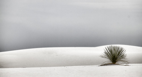 white sands national monument