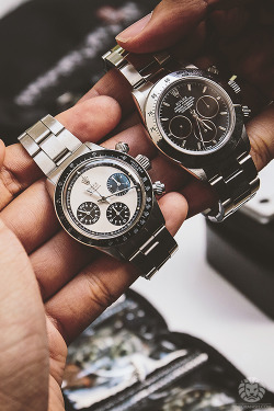 watchanish:  Tough Decision. 