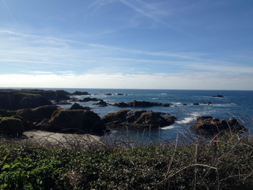 Here’s a mix of pictures from Mendocino, CA and Glass Beach in Fort Bragg, CA. The final picture is from Navarro, CA, where we stopped for dinner and wine tasting. Navarro is known for it’s wineries so we figured, why not try some local wine